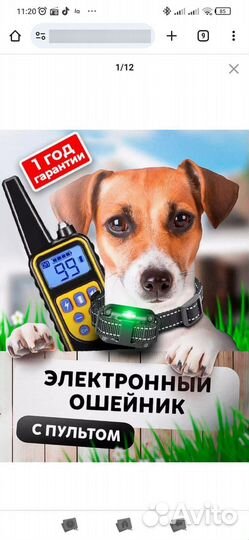 Электронный ошейник для собак