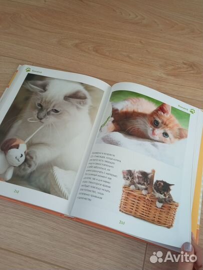 Книга про кошек
