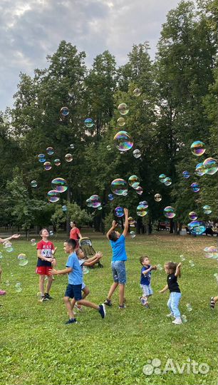 Аниматор на свадьбу