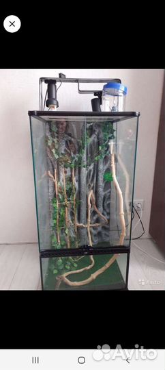 Террариум для хамелеона