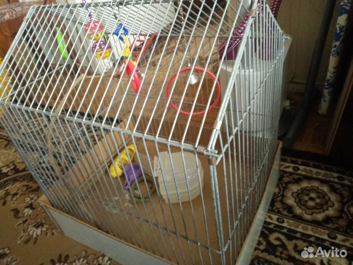 Клетка и аквариум