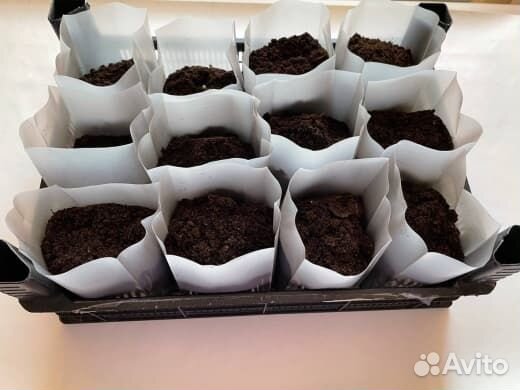 Пакеты для рассады 0,9 литра