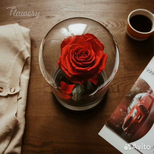 Розы в колье розовые