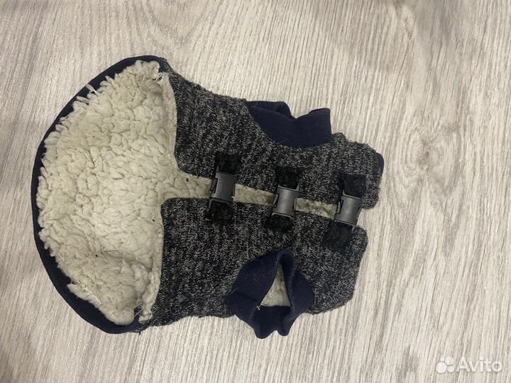 Одежда для собак