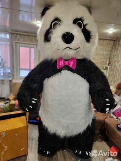 Белый мишка поздравление аниматор