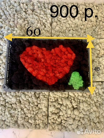 Мох опт сырье для стабилизации