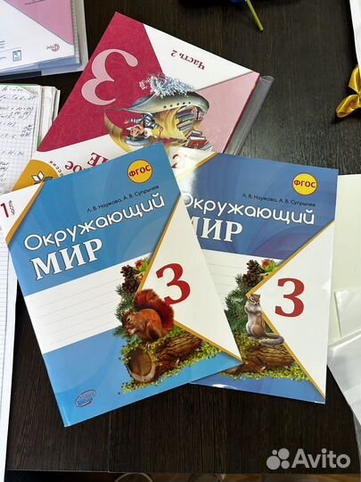 Рабочие тетради 3 класс окружающий мир