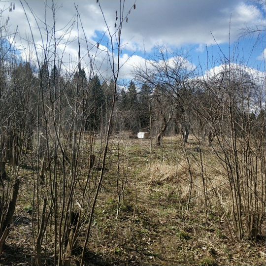 Участок 8 сот. (СНТ, ДНП)