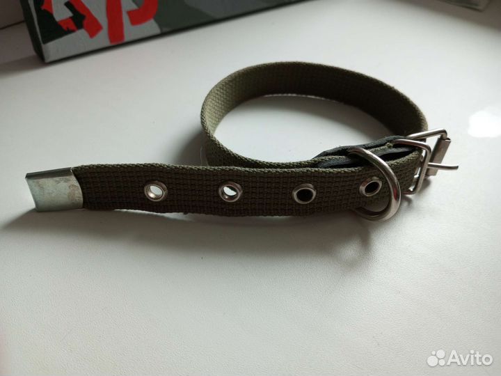 Шлейка с поводком для собак и кошек, ошейник