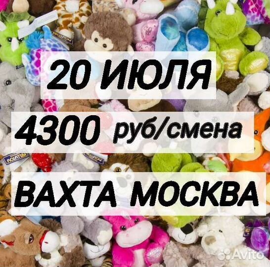 Работники на склад игрушек вахтой в Москву