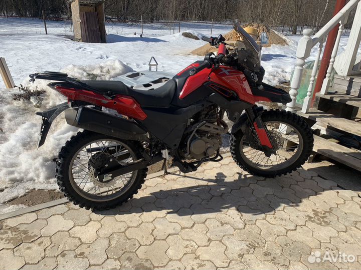 Fireguard 250 Trail 2022 года