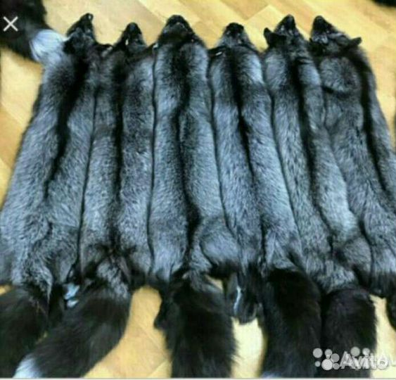 Шкуры чернобурых лисы