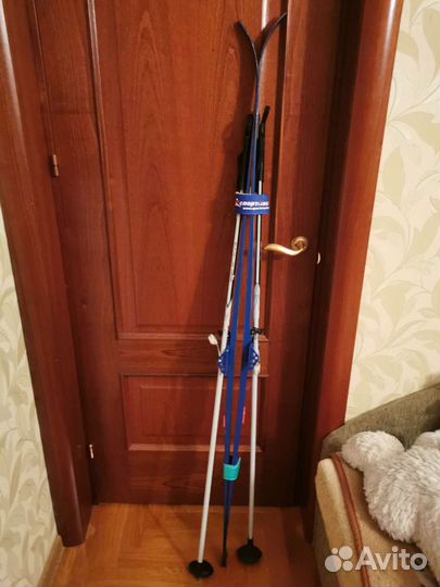 Беговые лыжи