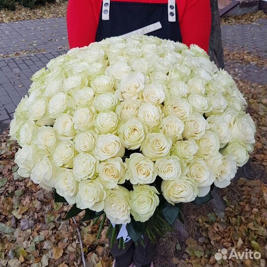 Букет из 101 белой розы