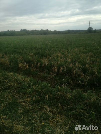 Сено, солома в тюках