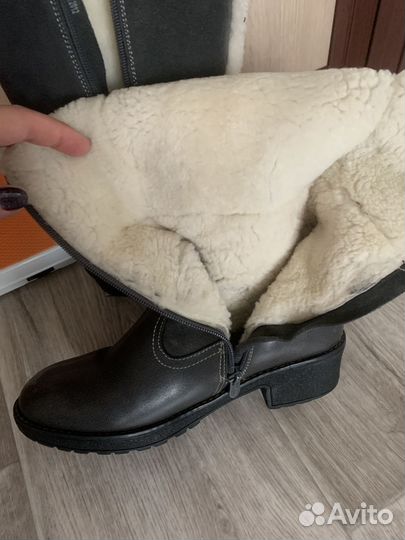 Сапожки для девочки зимние Антилопа
