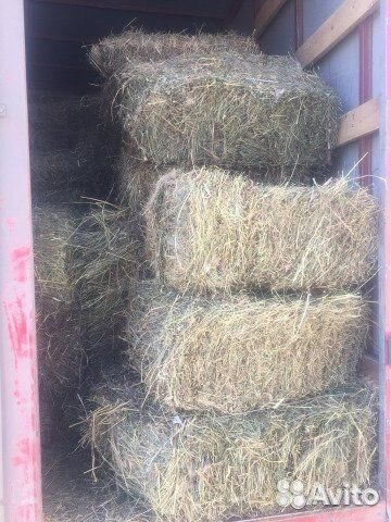 Сено