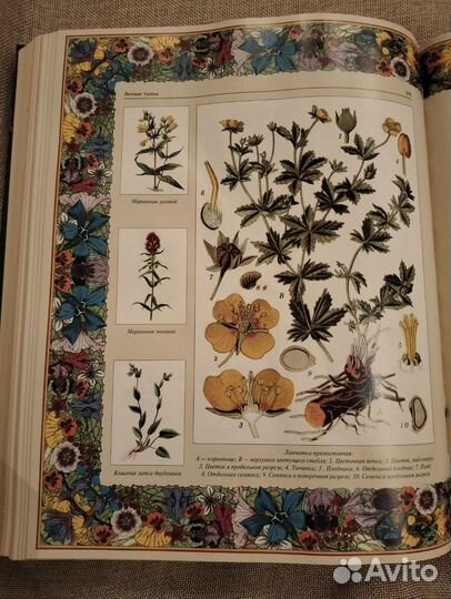 Подарочная книга русский лес: 