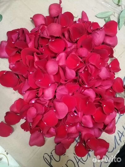 Лепестки роз(Эквадор)