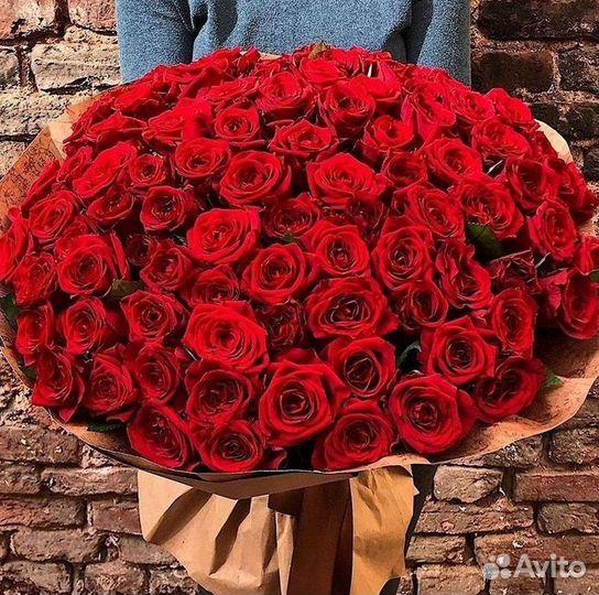 101 роза цветы букеты доставка 25 51 101 роза