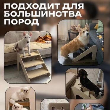 Лестница для собак