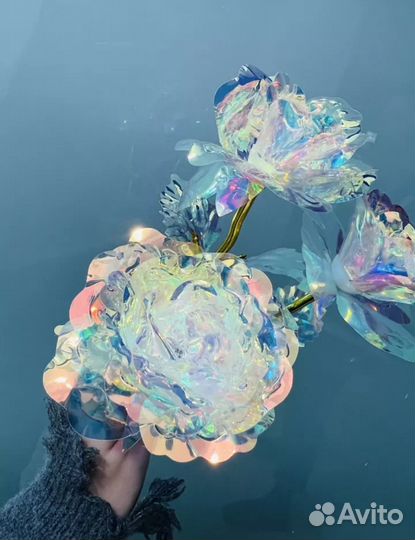 Декоративные розы