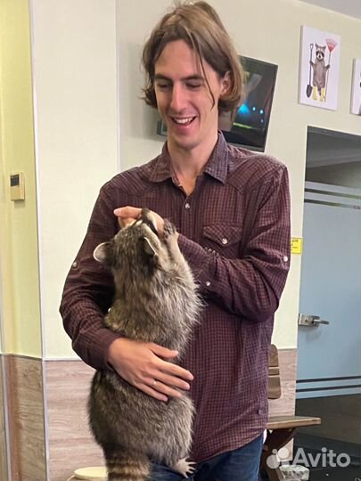 Опытный репетитор по биологии егэ, огэ, олимпиады