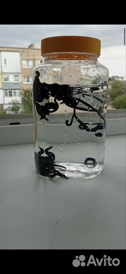 Массажист, костоправ