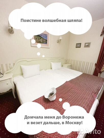 Я Котенок Шалфей, ищу тебя