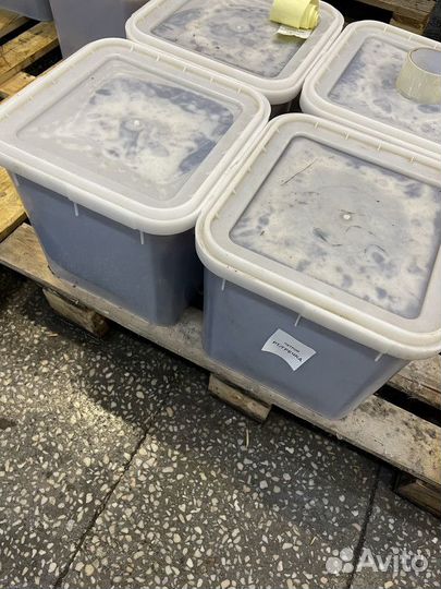 Мёд свежий оптом. Эспарцет, качка 2023г