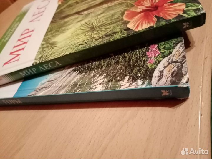 Детская энциклопедия махаон