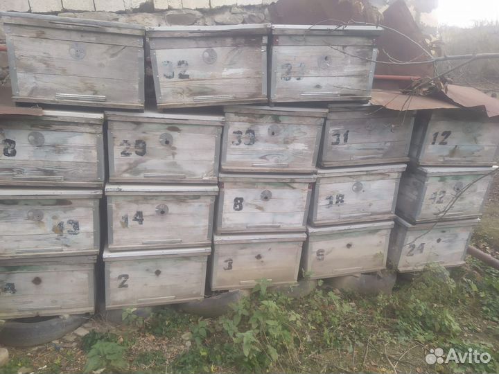 Ульи для пчел