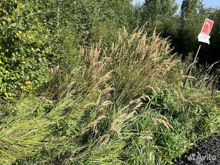 Покос травы, вырубка деревьев, кустов