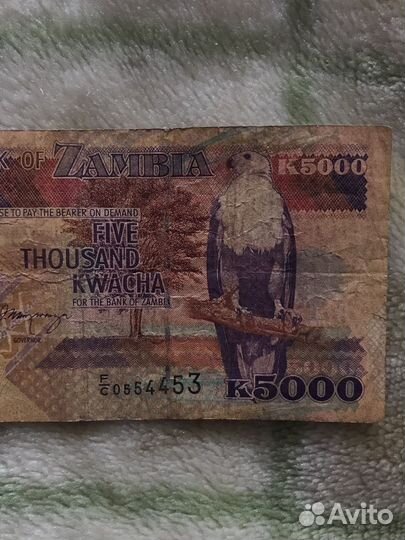 Замбия 5000 квача 1992