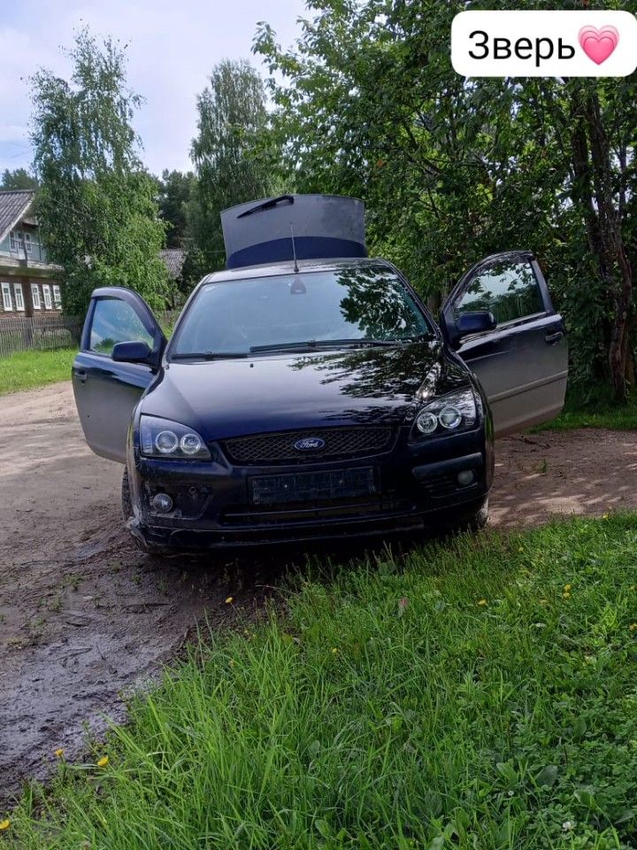 Ford Focus: фото владельца
