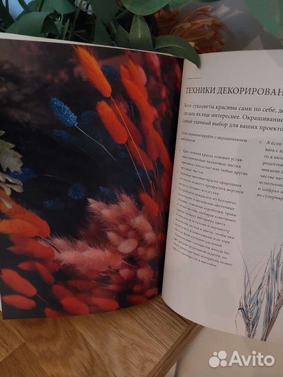 Книга Кэролин Данстер Срежь и засуши Флористика