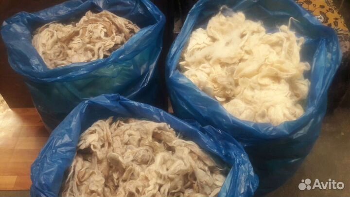 Продам овечью шерсть