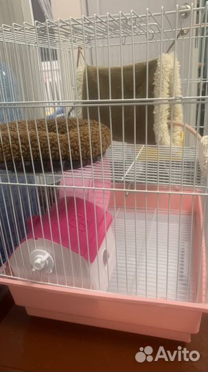 Крыса с клеткой