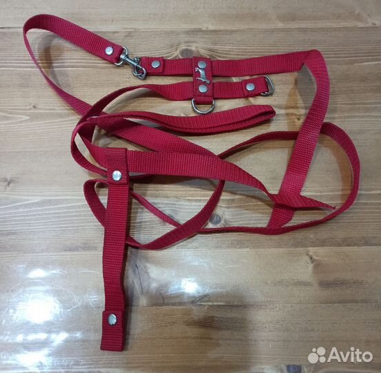 Шлейка поводок для собаки