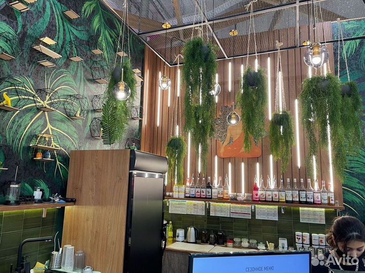 Прибыльный бизнес Bali Coffee доход от 200 тысяч