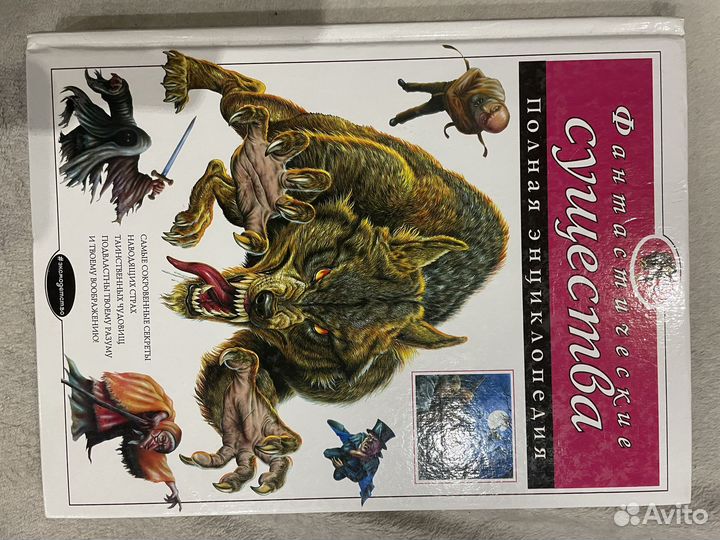 Энциклопедия и сталкер