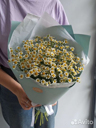 Букет из ромашек матрикария 9 веточек