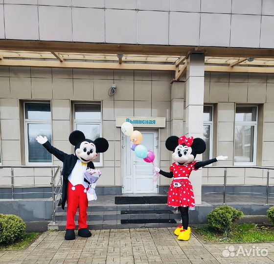 Микки Маус Поздравление Аниматор