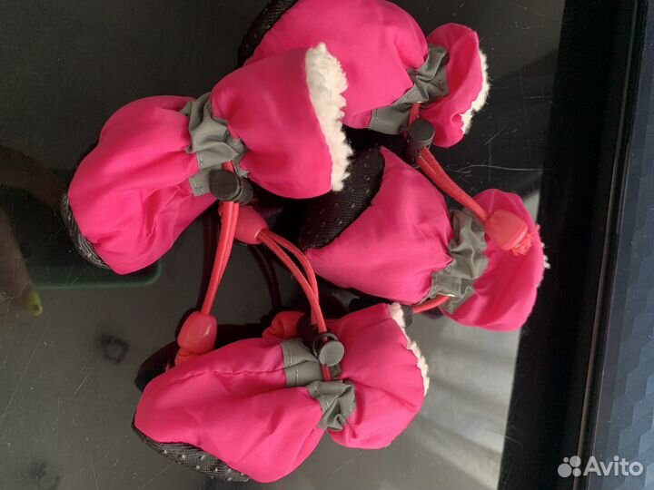 Обувь для маленьких собак