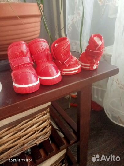 Обувь для собак мелких пород