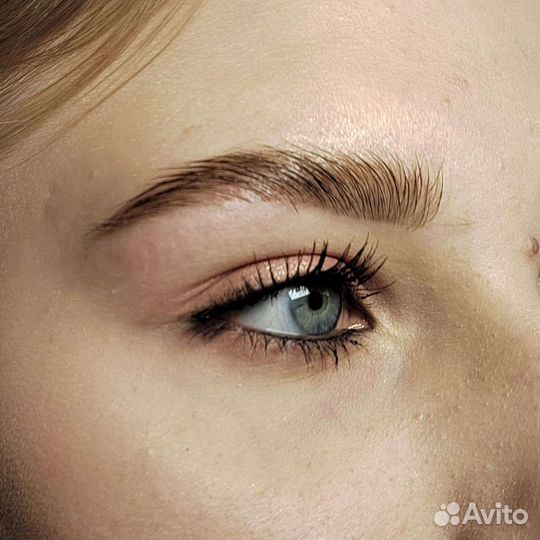 Архитектура бровей