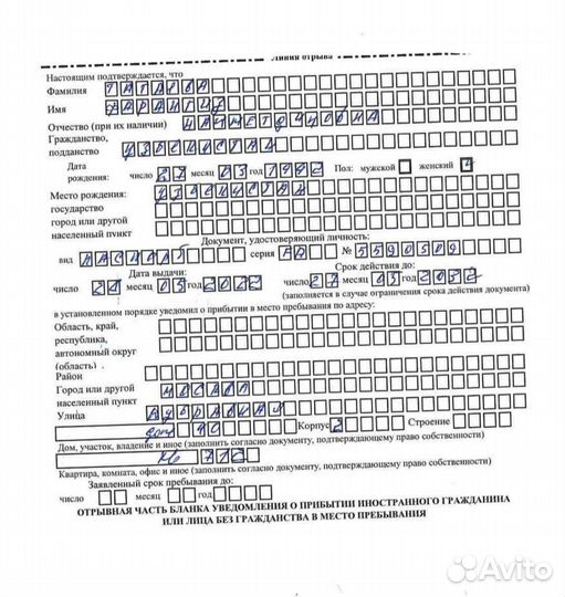 Проверка в базе