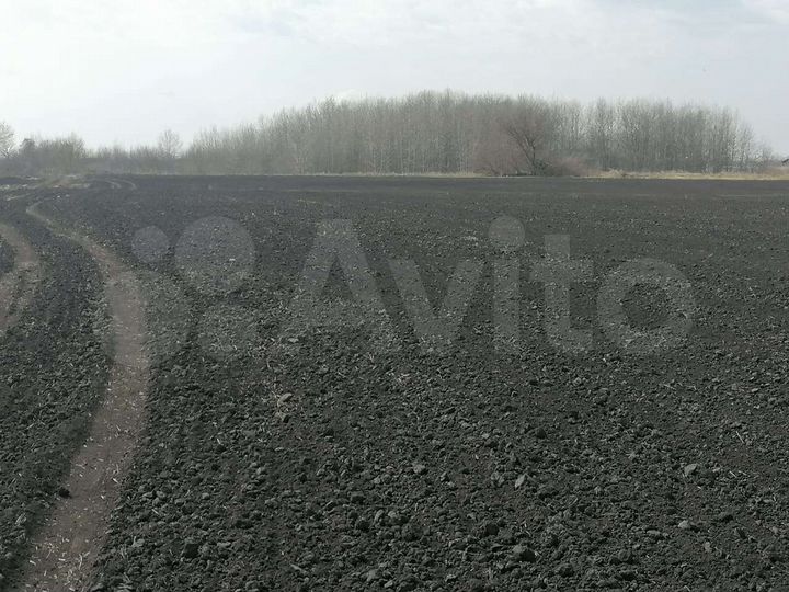 Участок 18 сот. (ИЖС)