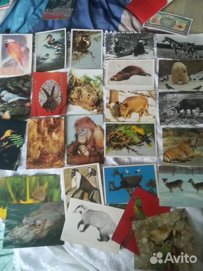 Открытки СССР разные