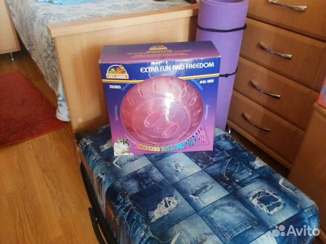 Шар для грызунов